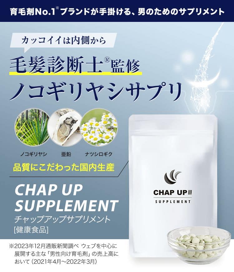 薬用 チャップアップ CHAPUP 育毛ローション 120ml 育毛剤 - ヘアケア ...