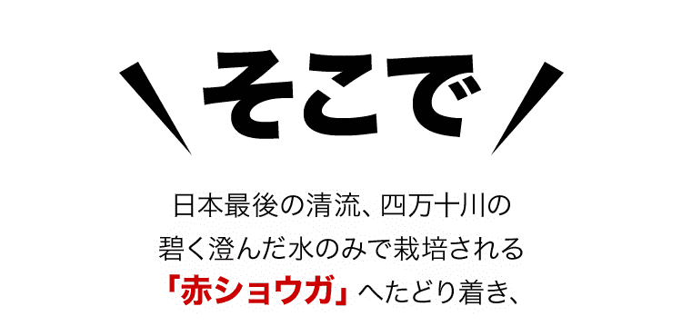そこで