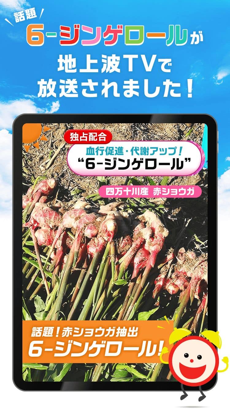 6-ジンゲロールが地上波TVで紹介されました！