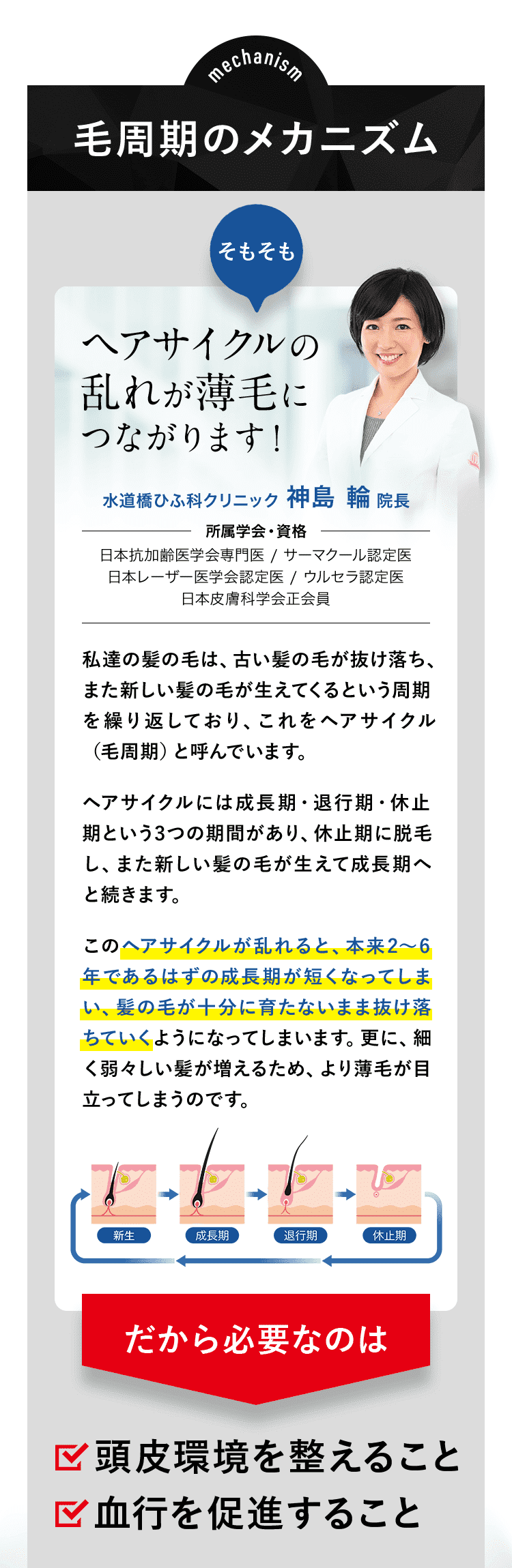 毛周期のメカニズム