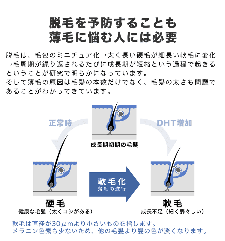 脱毛を予防することも薄毛に悩む人には必要